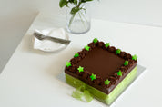 Chocolate Dream Cake Slab