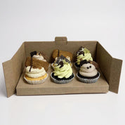 Fathers Day Cupcake Pack